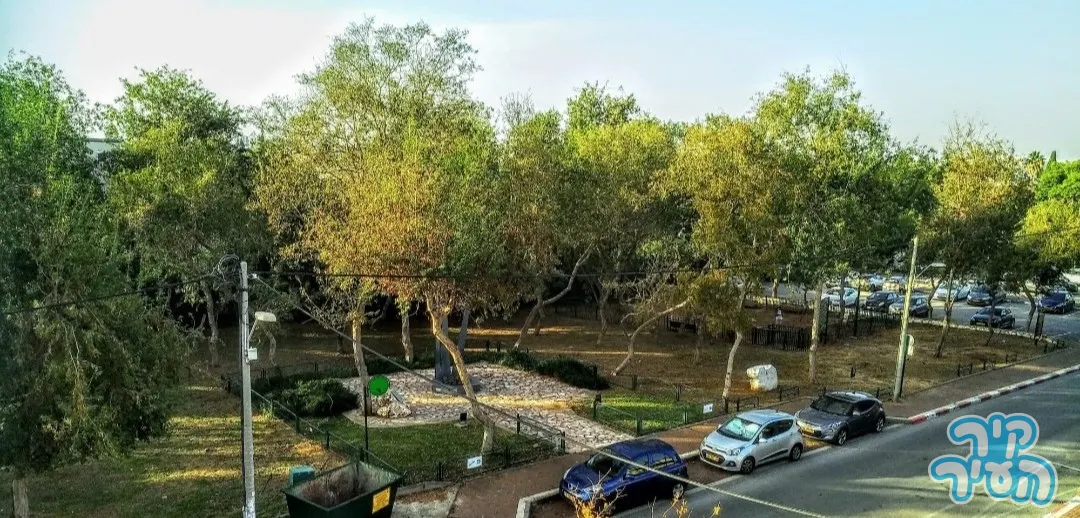 להשכרה קוטג' 6 מפלסים 5 חדרים מול חורשה במערבית של רמת השרון כניסה מיידית לשנים רבות - תמונה 2