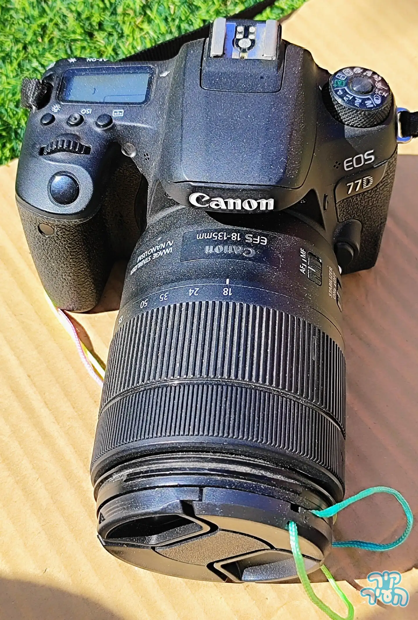 מצלמה CANON 77D ועדשה EF18-135 - תמונה 2