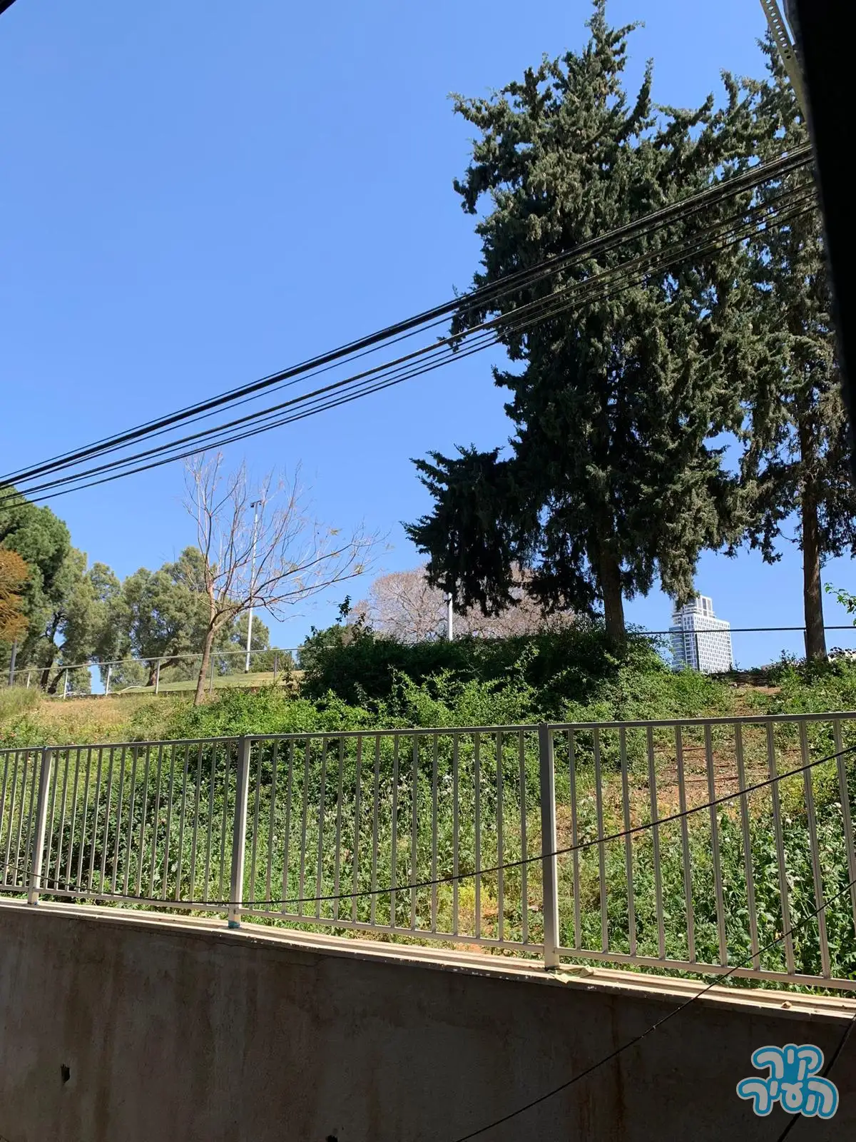 השקמה 39 בת ים דירת 3 חדרים משופצת עם ממ"ד מעלית וכניסה מיידית - תמונה 4