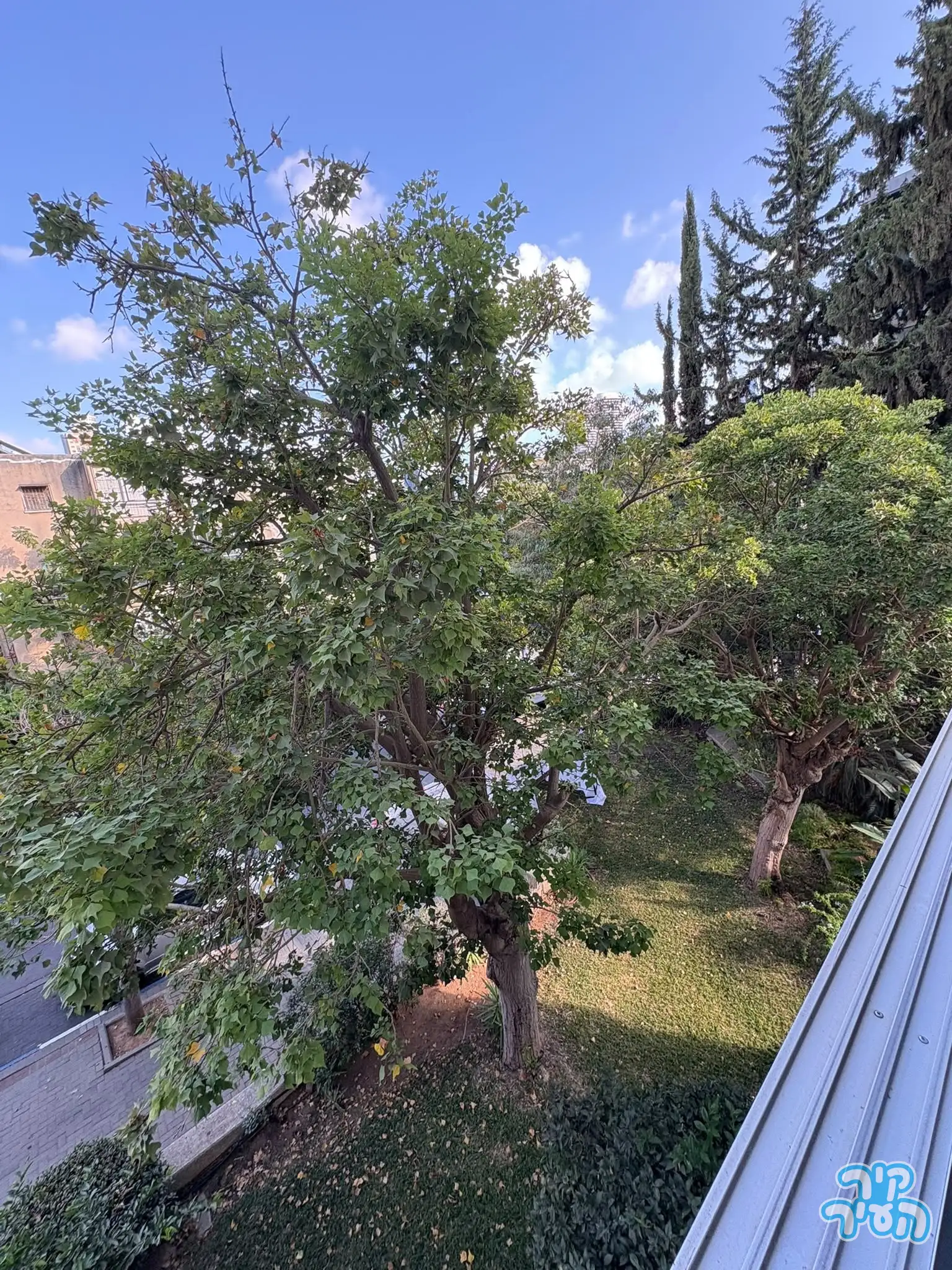 ברחוב גלוסקין המבוקש בצפון הישן סמוך לכיכר המדינה ! - תמונה 6